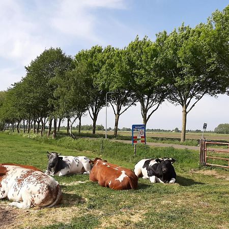Bed and Breakfast Mahil-Laya Meppel Exterior foto