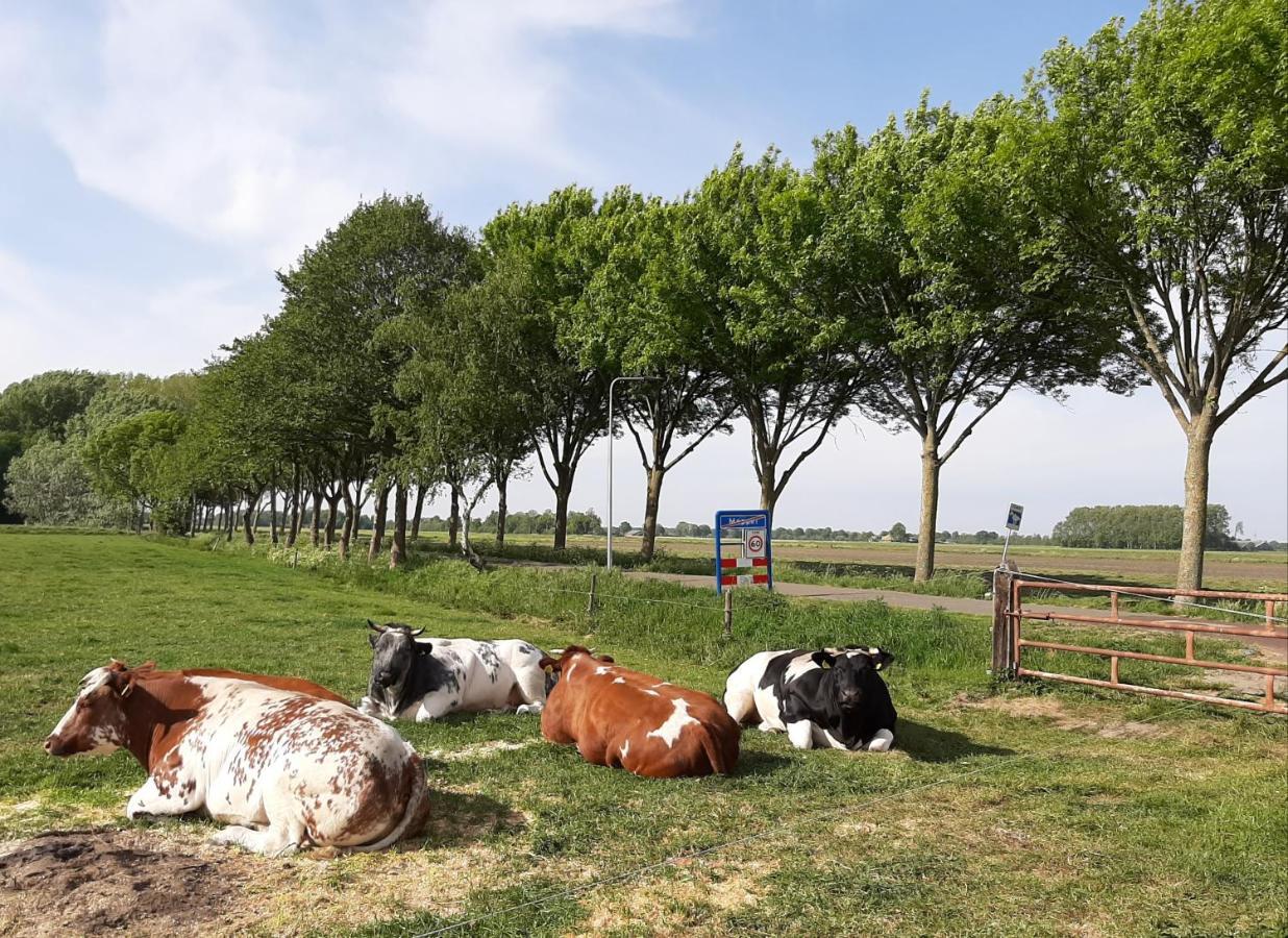 Bed and Breakfast Mahil-Laya Meppel Exterior foto